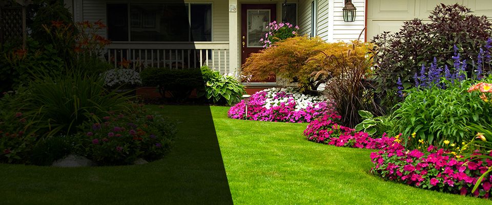 Decatur Landscapers